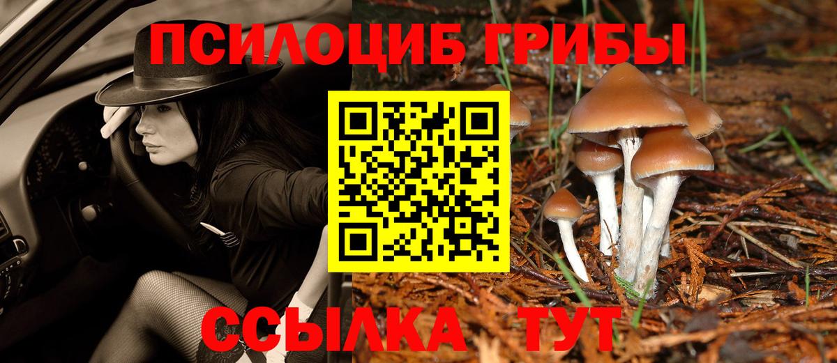 Полевской  Галлюциногенные грибы Psilocybine cubensis  Вход с VPN 